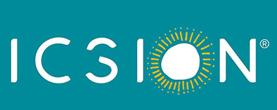 ICSION Logo 2